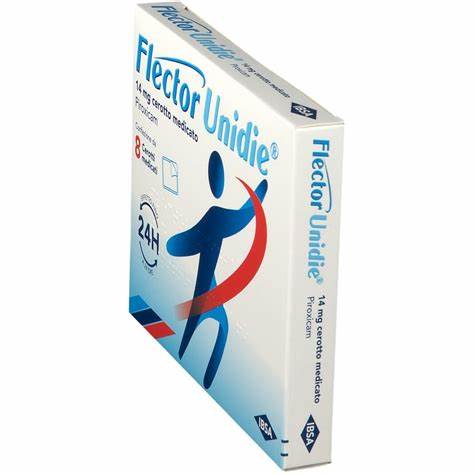 FLECTOR UNIDIE*4CER MED 14MG (copia)